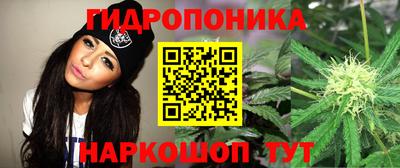 2c-b Славгород