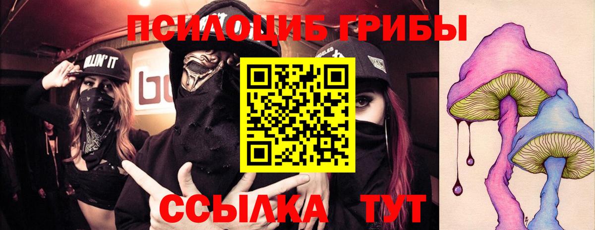 Галлюциногенные грибы прущие грибы Павловский Посад