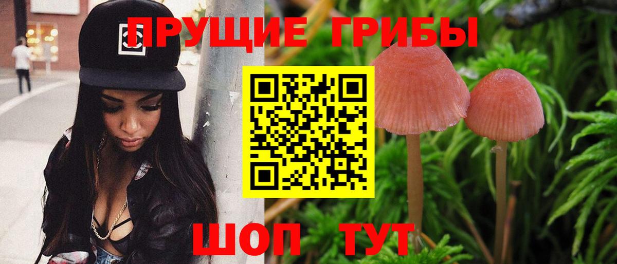 Псилоцибиновые грибы мицелий  Вход с VPN  Павловский Посад 